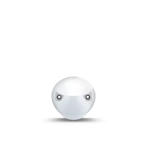 Garmin White Nose Cone front