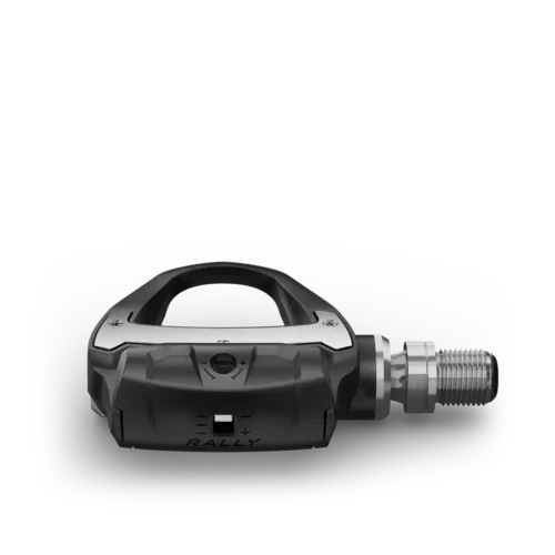 Garmin Rally RS100