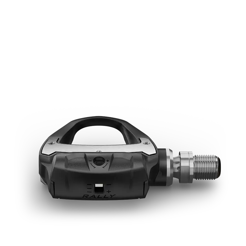 Garmin Rally RS100