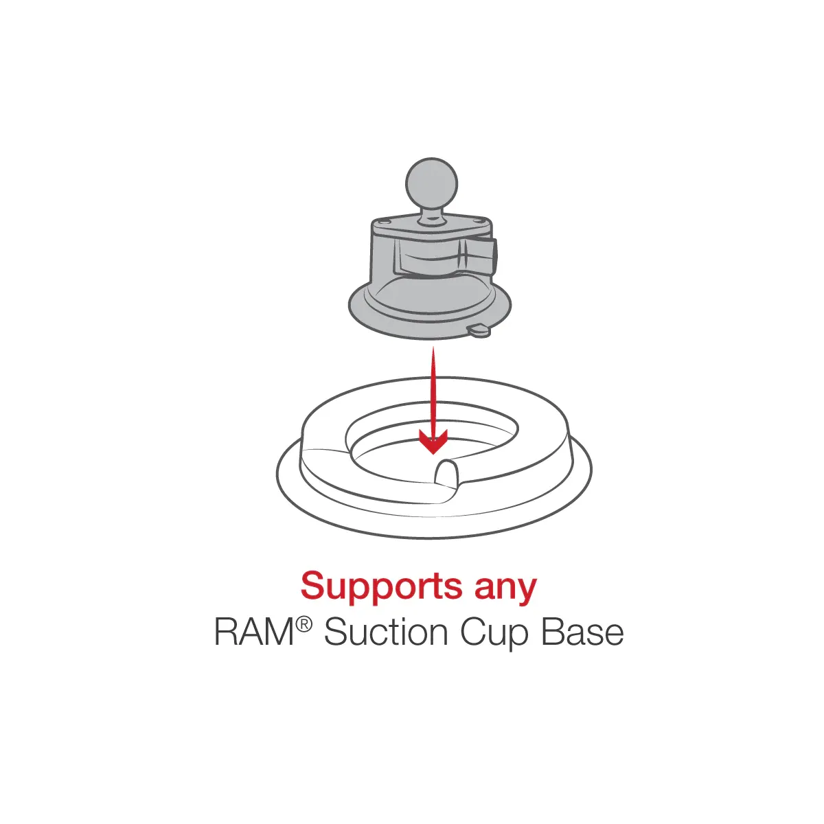 RAP-279B infographic