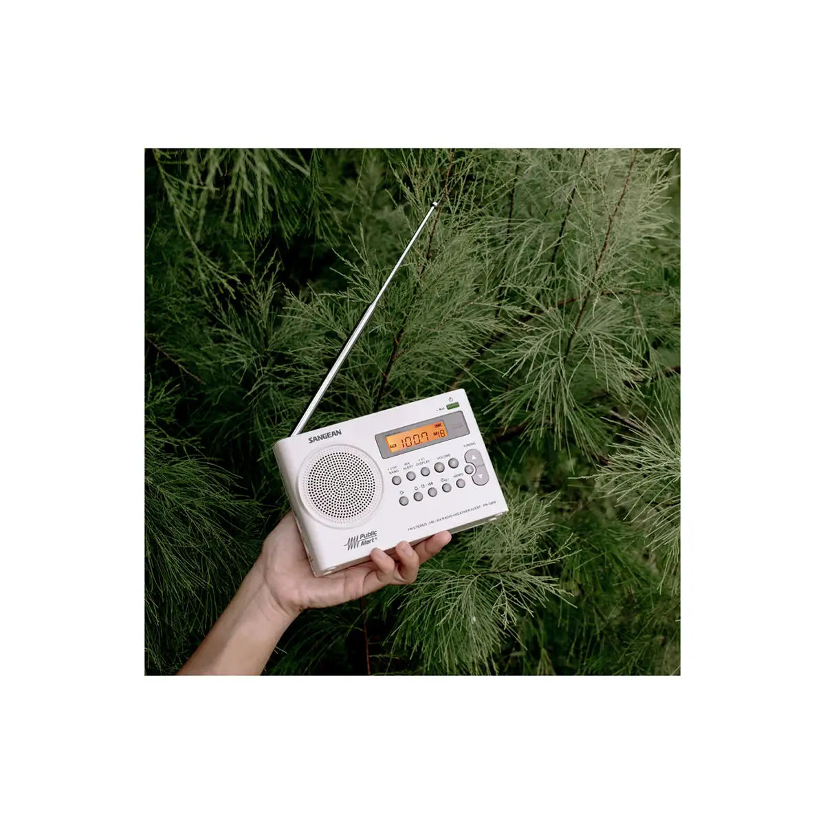 Sangean PR-D9W Portable AM / FM Stereo Radio in white with antenna out in hand