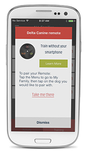 delta remote