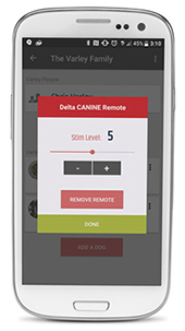 delta remote